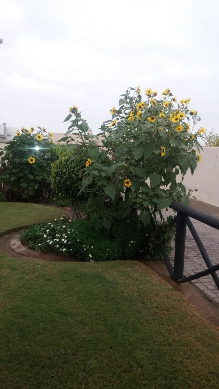 Sunflower Self-Catering Walvis Bay Kültér fotó